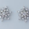 Glitter Burst Earrings (Silver)